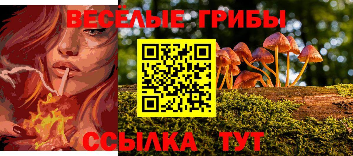 Галлюциногенные грибы Psilocybe  Вход с VPN  магазин продажи наркотиков  Сергиев Посад 