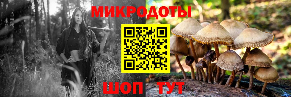 Галлюциногенные грибы прущие грибы Сергиев Посад